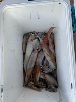 まだ早いかと思いきや