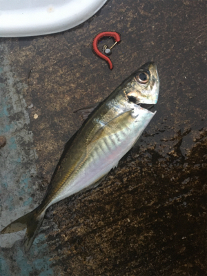 反則ガルプアジング