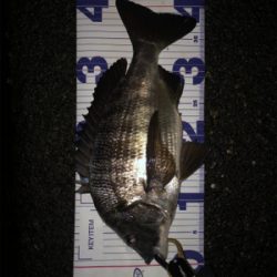 少し活性上がってる?