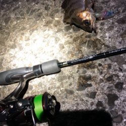 爆風メバリング