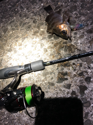 爆風メバリング