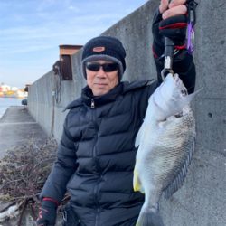 いつもの大正内港