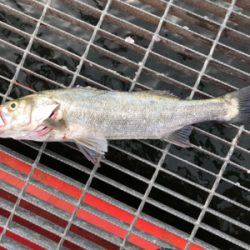 爆釣の釣り公園？