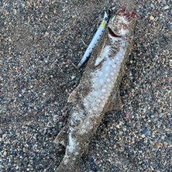 今シーズン初戦&開花