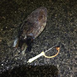 こうちゃんが食べたくて