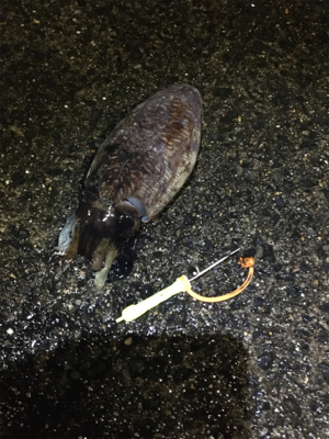 こうちゃんが食べたくて