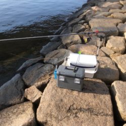 本年エビ撒き初ハネ