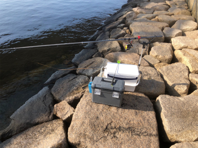 本年エビ撒き初ハネ