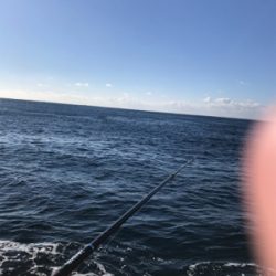 沖磯　カゴ釣り