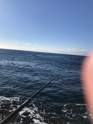 沖磯　カゴ釣り