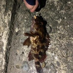 久々に風が弱い！