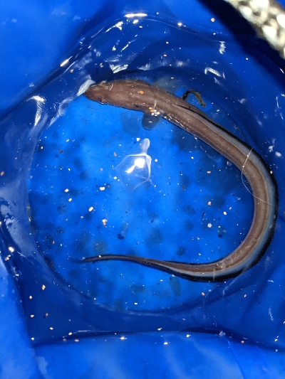 古宮で超爆風釣行