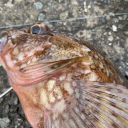 オリジナルベイト