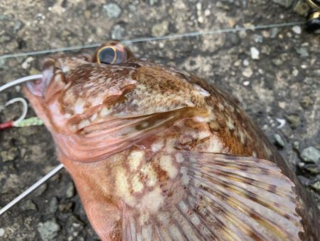 オリジナルベイト