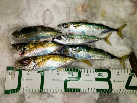 雪降る中でも…