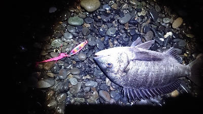 2021年初の一投目！