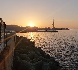 メバルさがし_2