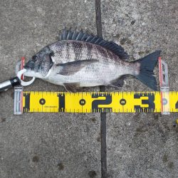 明けましておめでとうございます。