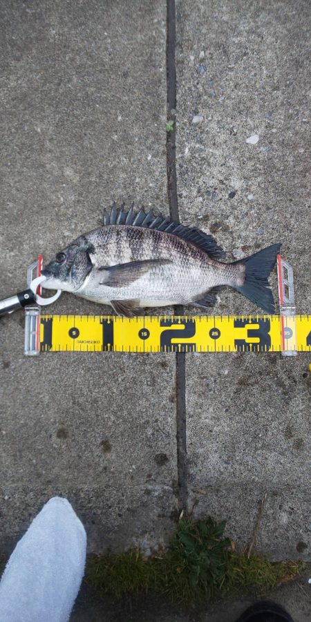 明けましておめでとうございます。