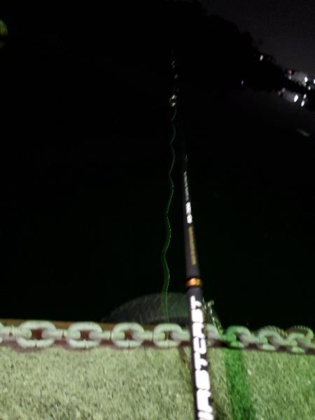 アジングのはずが…