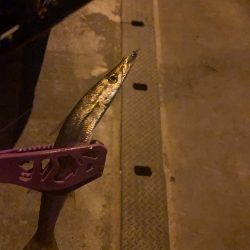 冷たい風に吹かれながら…