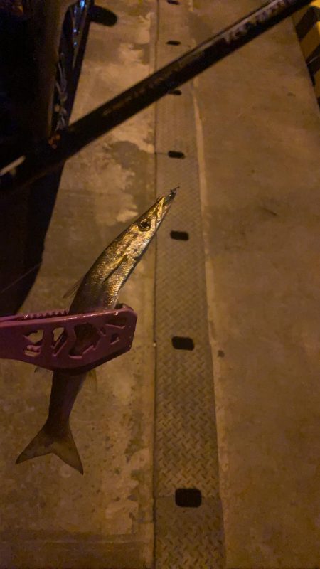 冷たい風に吹かれながら…