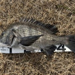 イチノ兄弟、釣果！