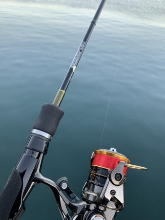 遅めの朝マズメ