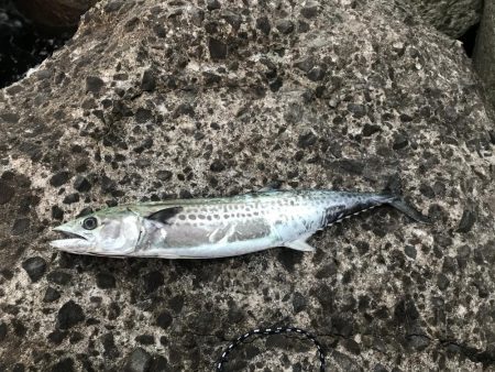 気温2℃寒い中釣れるか不安