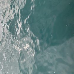 悪天候の中での釣り