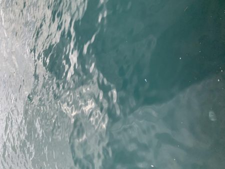 悪天候の中での釣り