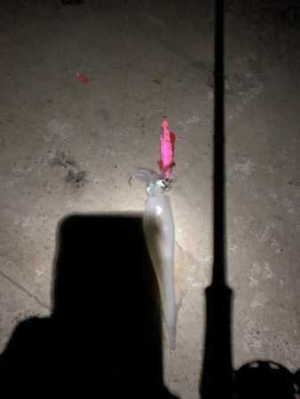 渋い感じでしたが…