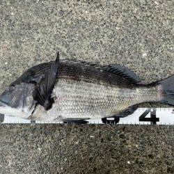 イチノ兄弟、釣果!