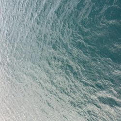 朝まずめ30分勝負！