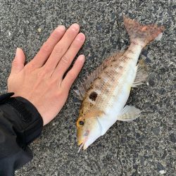 朝日を見ながら