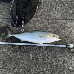 水面の魔術師！寒波でも釣りはアツい！（笑）