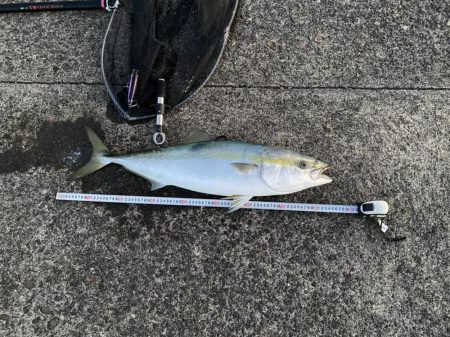 水面の魔術師！寒波でも釣りはアツい！（笑）…