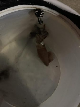 本年も宜しくです。