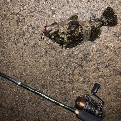 メバリングに行ったが…