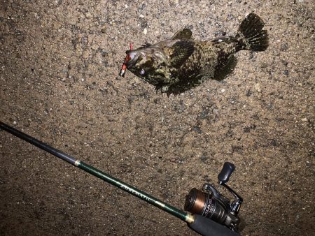 メバリングに行ったが…