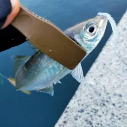 連休は人でいっぱい