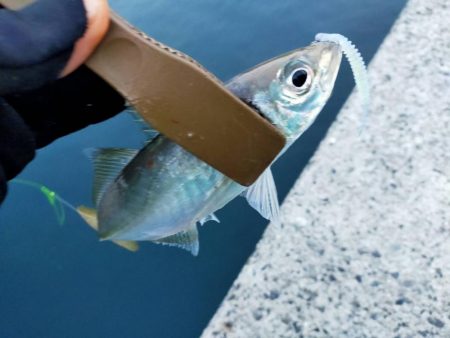 連休は人でいっぱい