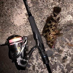 ガシリング！！