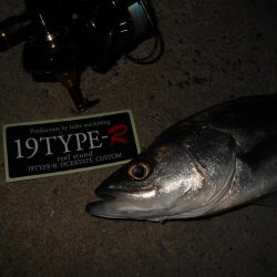 ボトムパターン開幕。