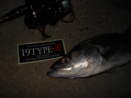 ボトムパターン開幕。