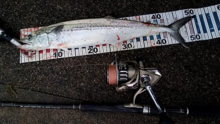 初釣果❗️サゴ…