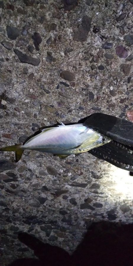 年始のフロートアジング