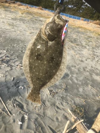 初ヒット！初ゲット！