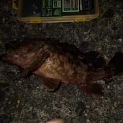 仕事終わりのライトゲーム