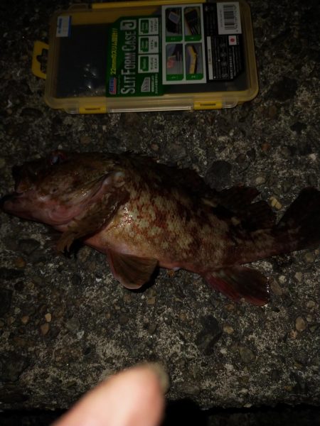 仕事終わりのライトゲーム